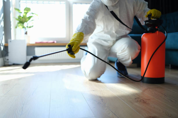 Reliable Trauma Scene Cleanup contractor in Springville, VA by Crime Scene Cleaner Online